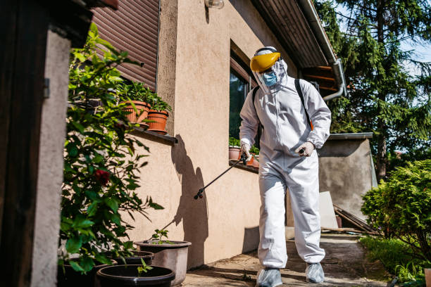 Best Best Pest Control Companies  in Cudjoe Key, FL