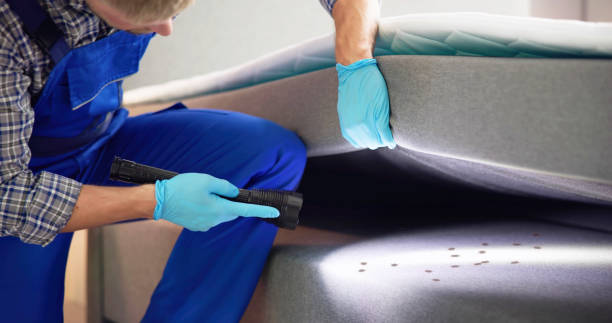 Best Flea Control Services  in Cudjoe Key, FL